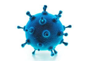 model of a virus